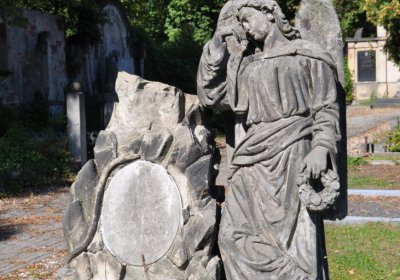 Teplice městský, Omnium, 2020