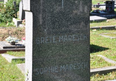 Teplice městský, Omnium, 2020