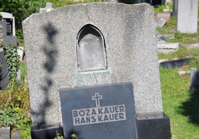 Teplice městský, Omnium, 2020