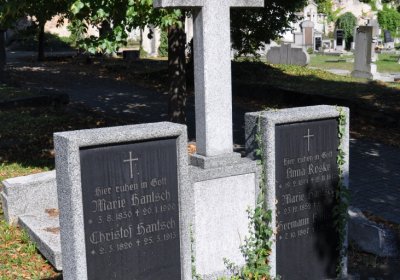 Teplice městský, Omnium, 2020