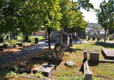 Teplice městský, Omnium, 2020