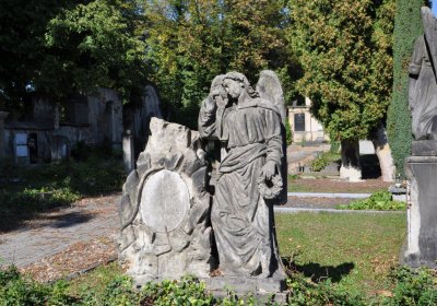 Teplice městský, Omnium, 2020