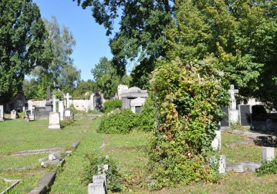 Teplice městský, Omnium, 2020