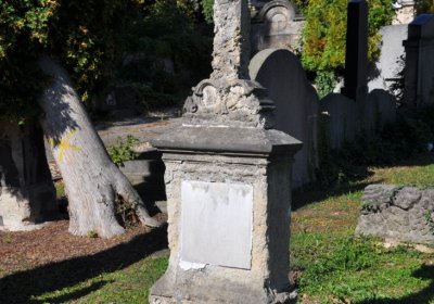 Teplice městský, Omnium, 2020