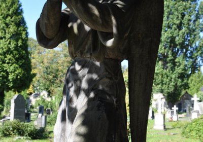 Teplice městský, Omnium, 2020