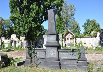 Teplice městský, Omnium, 2020