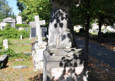 Teplice městský, Omnium, 2020