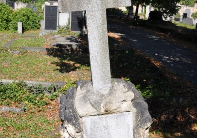 Teplice městský, Omnium, 2020