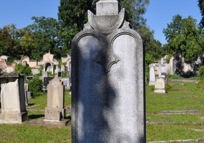 Teplice městský, Omnium, 2020