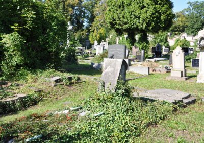 Teplice městský, Omnium, 2020