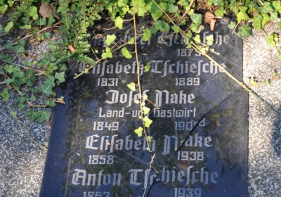 Teplice městský, Omnium, 2020