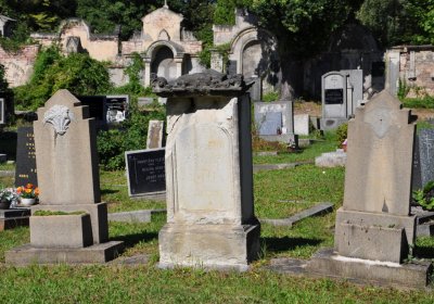 Teplice městský, Omnium, 2020