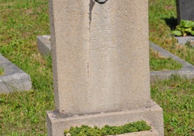 Teplice městský, Omnium, 2020