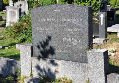 Teplice městský, Omnium, 2020