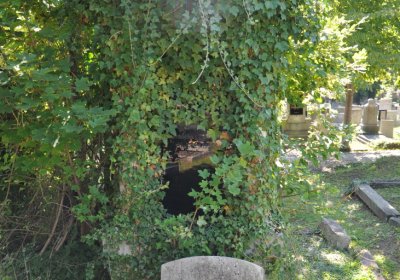 Teplice městský, Omnium, 2020