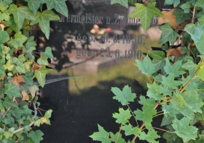 Teplice městský, Omnium, 2020