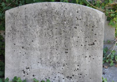 Teplice městský, Omnium, 2020