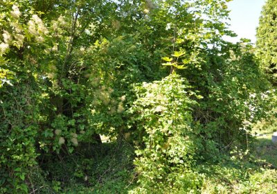 Teplice městský, Omnium, 2020