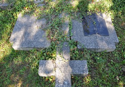 Teplice městský, Omnium, 2020