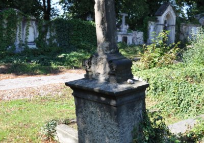 Teplice městský, Omnium, 2020