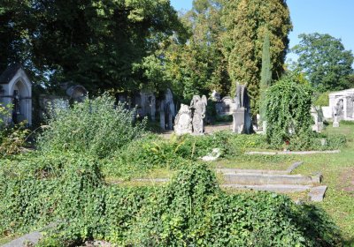 Teplice městský, Omnium, 2020