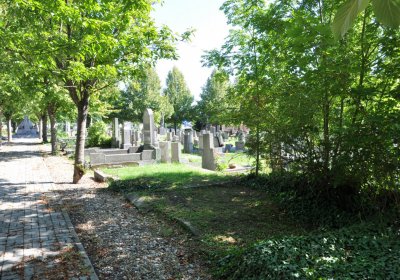 Teplice městský, Omnium, 2020