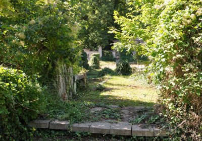 Teplice městský, Omnium, 2020