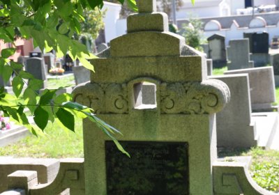 Teplice městský, Omnium, 2020