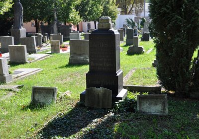 Teplice městský, Omnium, 2020