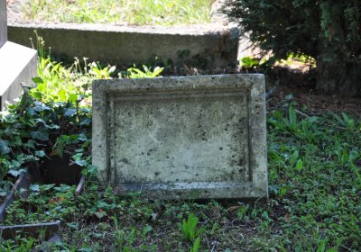 Teplice městský, Omnium, 2020