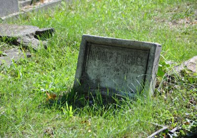 Teplice městský, Omnium, 2020