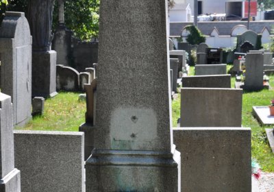 Teplice městský, Omnium, 2020