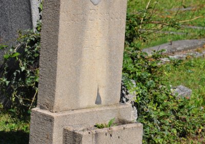 Teplice městský, Omnium, 2020