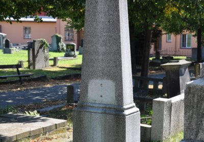 Teplice městský, Omnium, 2020