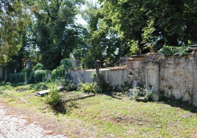 Teplice městský, Omnium, 2020