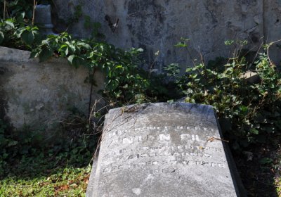 Teplice městský, Omnium, 2020