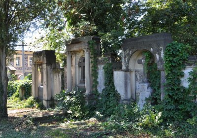 Teplice městský, Omnium, 2020