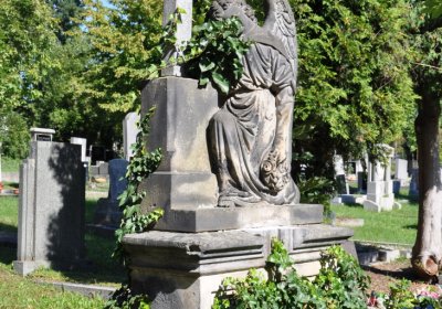 Teplice městský, Omnium, 2020