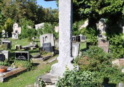 Teplice městský, Omnium, 2020