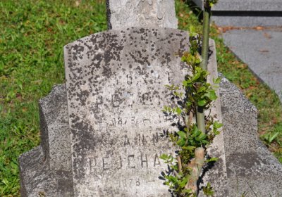 Teplice městský, Omnium, 2020