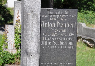 Teplice městský, Omnium, 2020