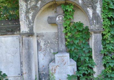 Teplice městský, Omnium, 2020