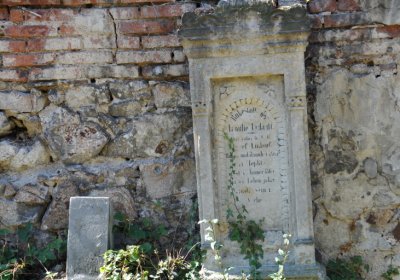 Teplice městský, Omnium, 2020