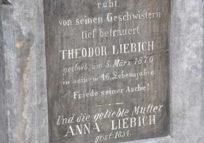 Teplice městský, Omnium, 2020