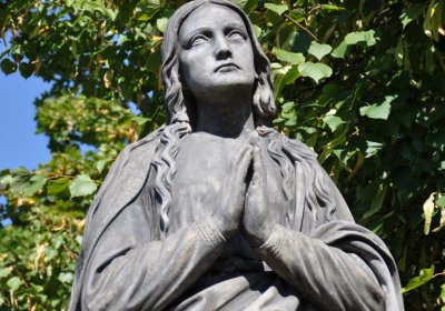 Teplice městský, Omnium, 2020