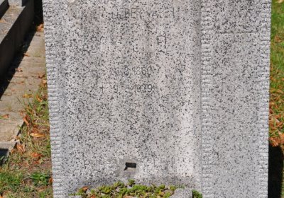 Teplice městský, Omnium, 2020