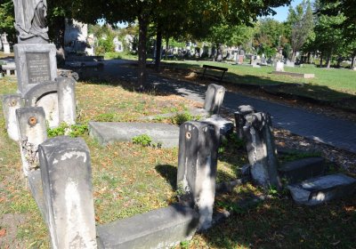 Teplice městský, Omnium, 2020