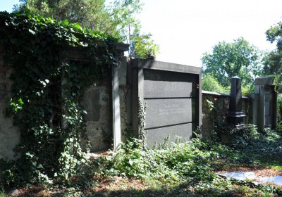 Teplice městský, Omnium, 2020