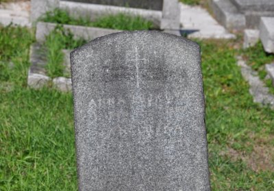 Teplice městský, Omnium, 2020