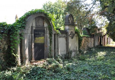 Teplice městský, Omnium, 2020